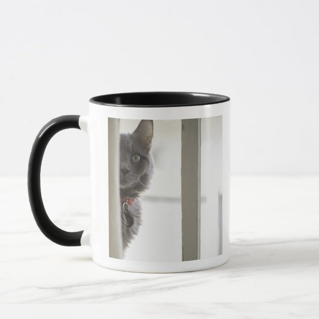 Katze durch Fenster Tasse (Links)