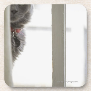 Katze durch Fenster Untersetzer
