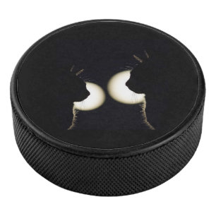 Katze Einbrecher Gesichtet Eishockey Puck