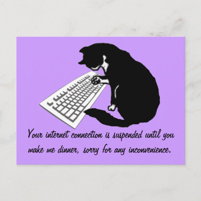 Katze eingeben postkarte (Vorderseite)