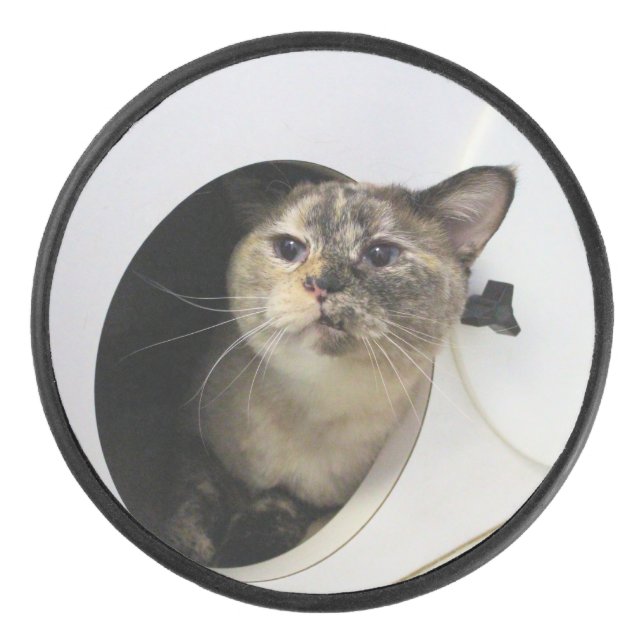 Katze Eishockey Puck (Vorderseite)