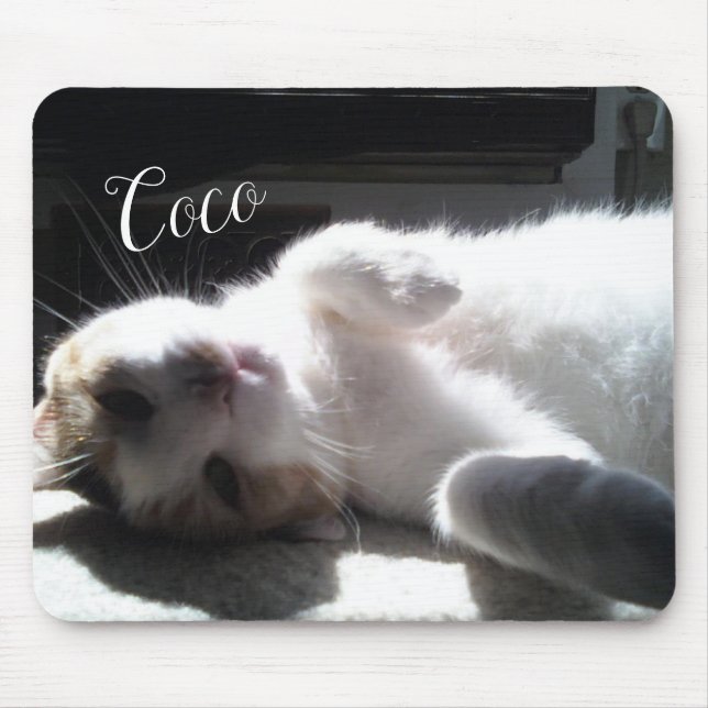 Katze Felines Mauspad! Mousepad (Vorne)
