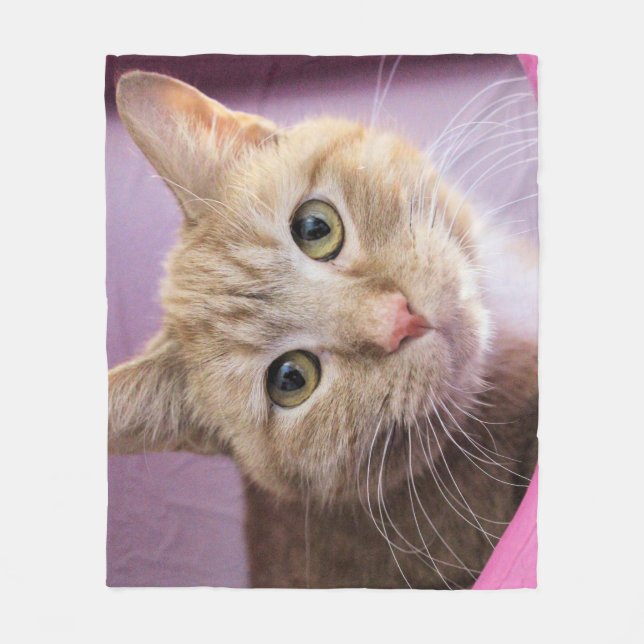 Katze Fleecedecke (Vorderseite)