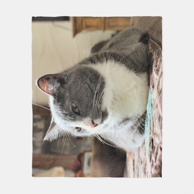 Katze Fleecedecke (Vorderseite)