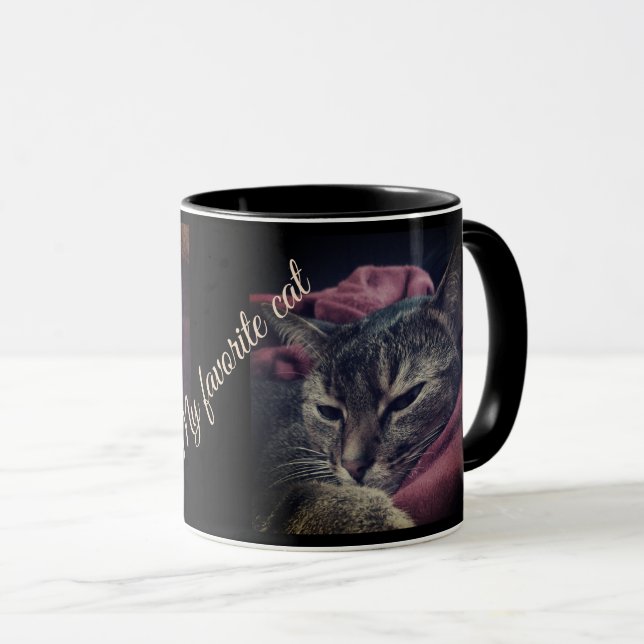 Katze, Foto, Haustiere, lustige Katze, Burgund Tasse (VorderseiteRechts)