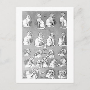 Katze, Freundschaft & Ehe, Braut, Louis Wain Postkarte