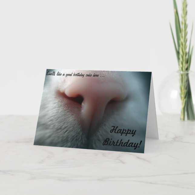 Katze für die Geburtstagskarte Karte (Vorderseite)