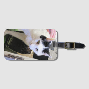 Katze   gepäckanhänger