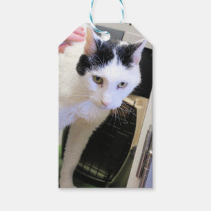 Katze Geschenkanhänger