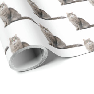 Katze Geschenkpapier