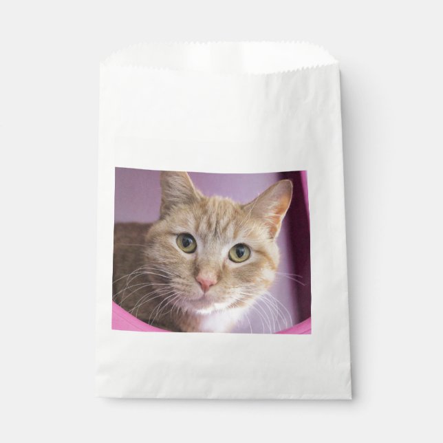 Katze Geschenktütchen (Vorderseite)