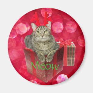 Katze Gewartet für Santa Magnet