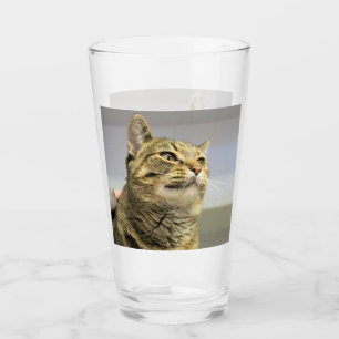 Katze Glas