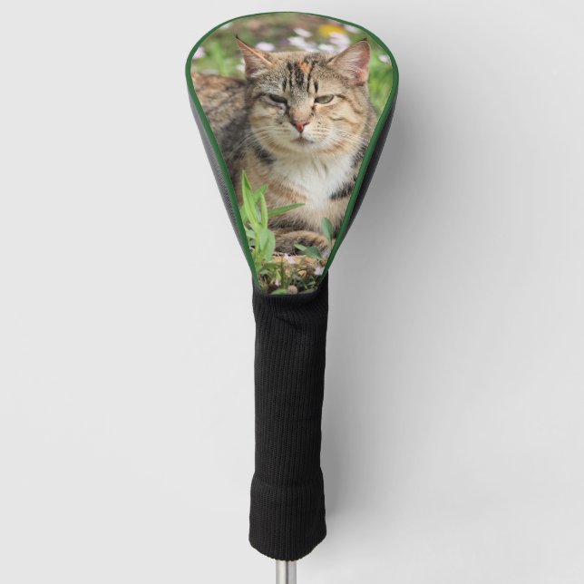 Katze Golf Headcover (Vorderseite)