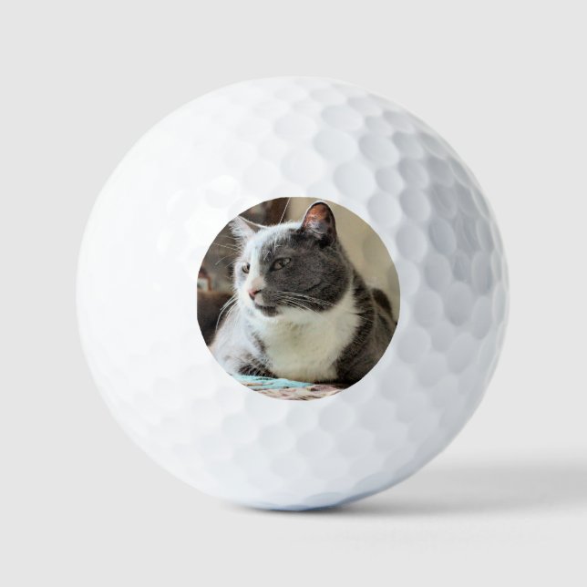 Katze Golfball (Vorderseite)