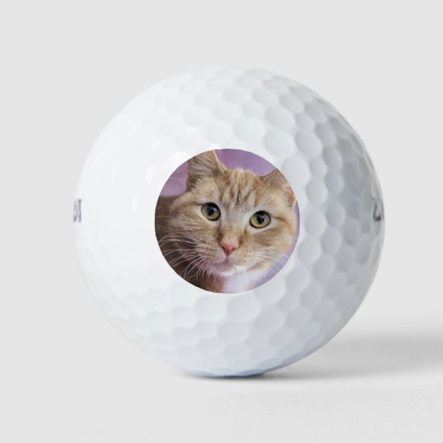 Katze Golfball (Vorderseite)