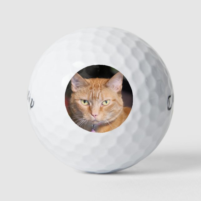 Katze Golfball (Vorderseite)