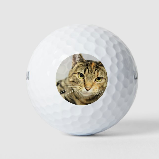 Katze Golfball (Vorderseite)