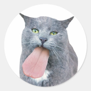 Katze Got deine Zunge? Klassischer Rundaufkleber Runder Aufkleber