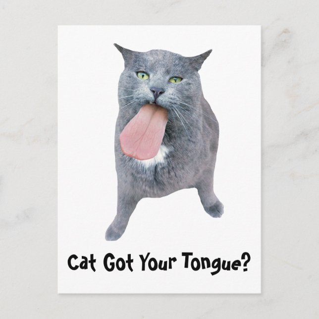 Katze Got deine Zunge? Postkarte (Vorderseite)