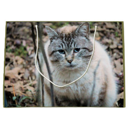 Katze Große Geschenktüte