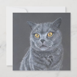 Katze Grußkarte. Feiertagskarte