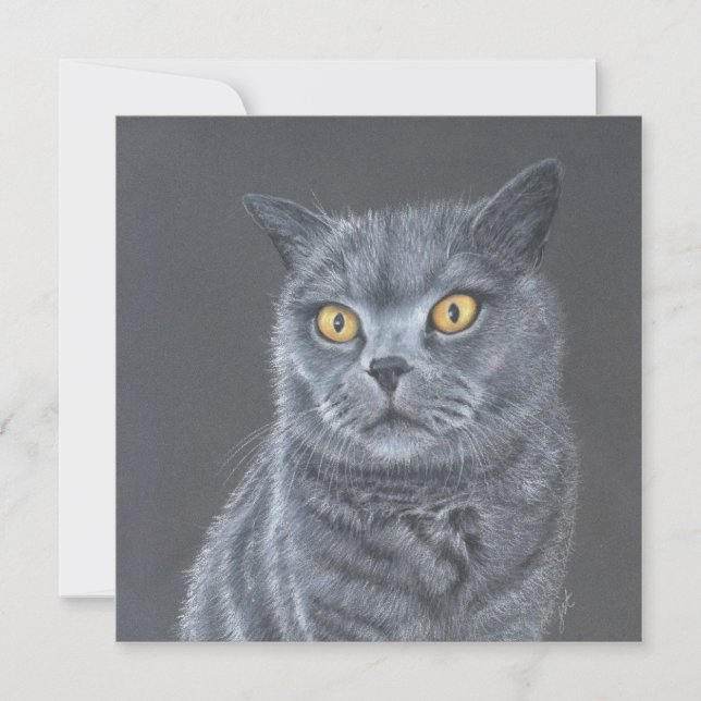 Katze Grußkarte.  Feiertagskarte (Vorderseite)