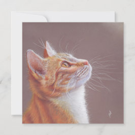 Katze Grußkarte. Rote Katze Feiertagskarte