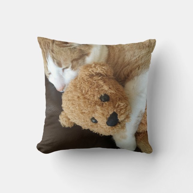Katze hält alten Teddybären Kissen (Vorderseite)