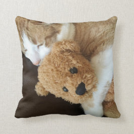 Katze hält alten Teddybären Kissen