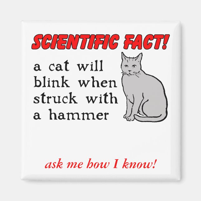 Katze Hammer Lustiger Magnet Humor (Vorne)