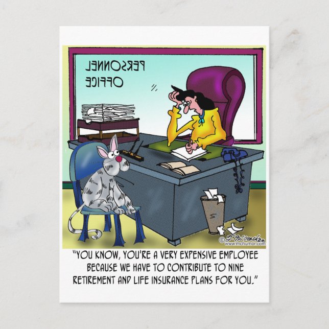 Katze hat 9 Lebensversicherungspläne Postkarte (Vorderseite)