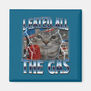 Katze hat Liebhaber-Katze gegessen, ich bin ganz a Magnet