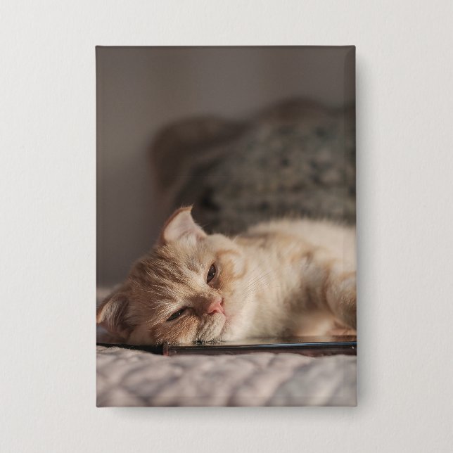 Katze, Haustier, Kätzchen Button (Vorderseite)