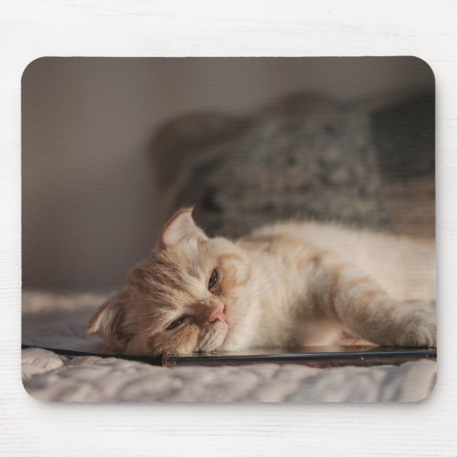 Katze, Haustier, Kätzchen Mousepad (Vorne)