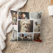Katze Haustiere 8 Foto Portrait Collage Keepake