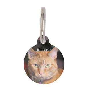 Katze Haustiermarke