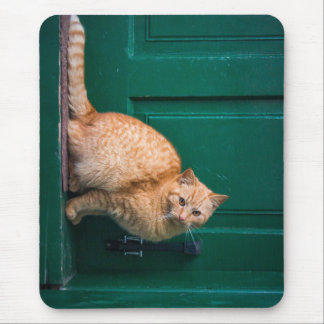 Katze, Haustür, Haustier Mousepad