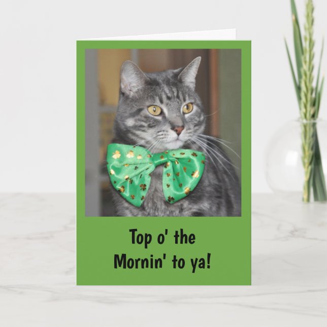 Katze im bowtie für St Patrick Tag Karte (Vorderseite)
