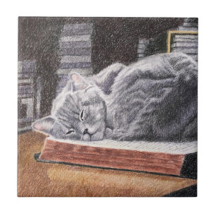 Katze im Buchladen Fliese