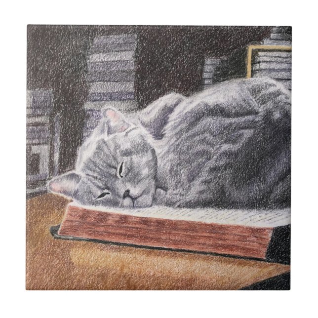 Katze im Buchladen Fliese (Vorderseite)