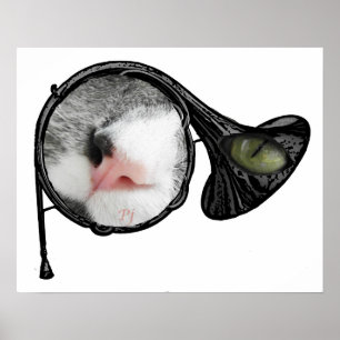 Katze im französischen Horn Poster