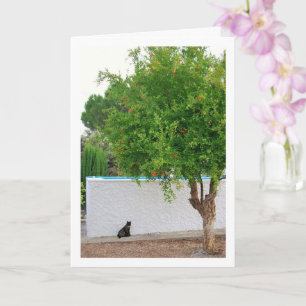 Katze im Gartenportrait Karte