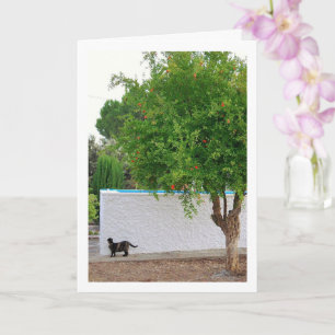 Katze im Gartenportrait Karte