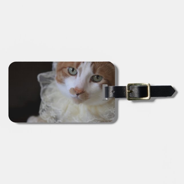 Katze im Halsband Gepäckanhänger (Vorderseite horizontal)