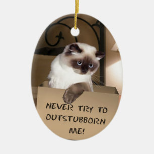 Katze im Kasten Himalaja Keramikornament