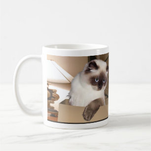 Katze im Kasten Kaffeetasse