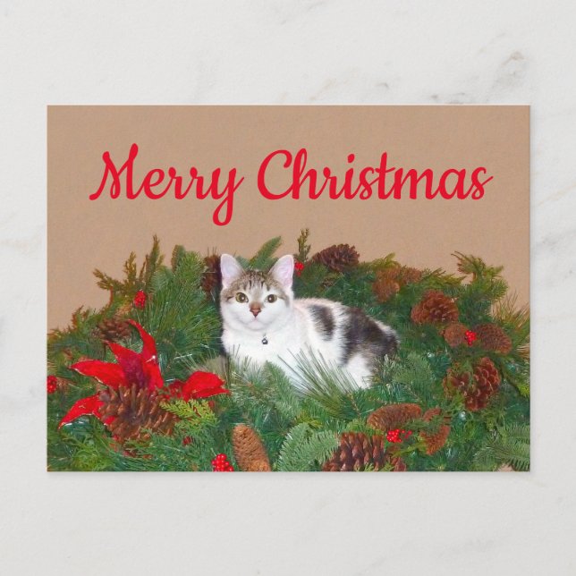 Katze im Kranz Weihnachtskarte Feiertagspostkarte (Vorderseite)