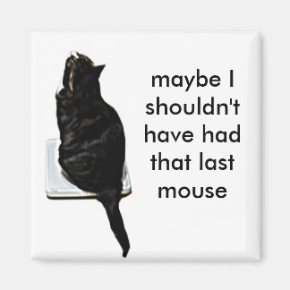 Katze im Maßstab Magnet