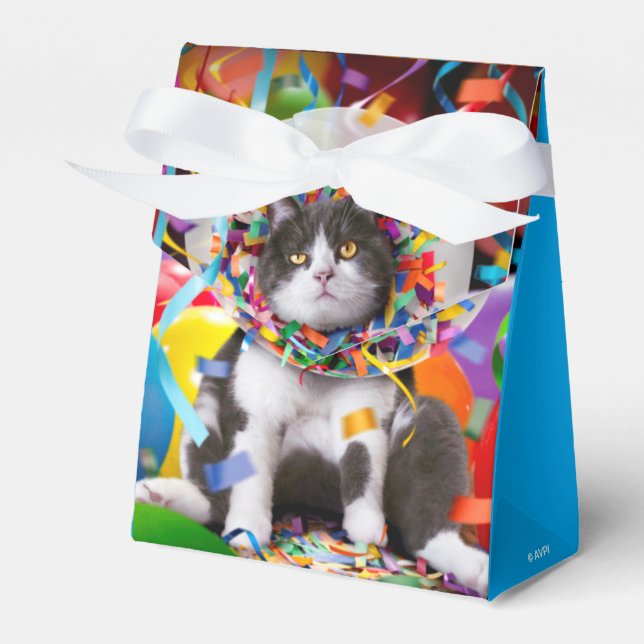 Katze im Party Cone Geschenkschachtel (Vorderseite)